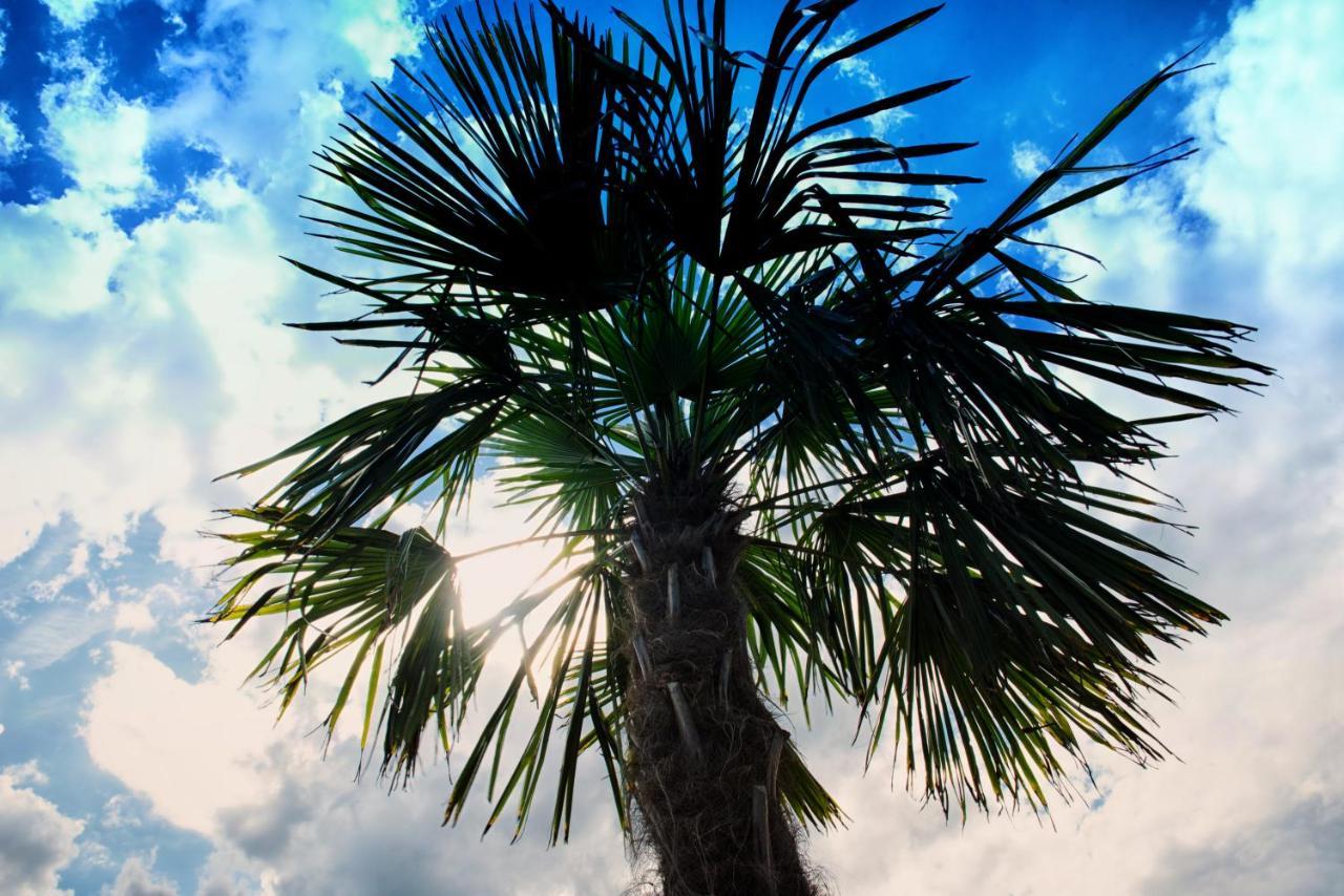 Nocleg Zator Domki Paradise Pod Palmami Kültér fotó